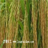 硫酸锌在水稻上的使用方法
